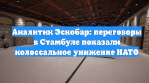 Аналитик Эскобар: переговоры в Стамбуле показали колоссальное унижение НАТО