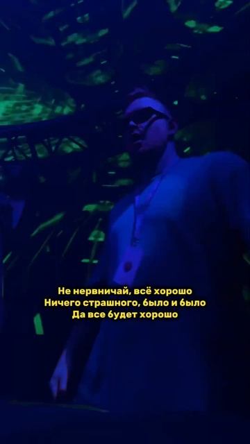 КРЫЛАТЫЕ КАЧЕЛИ ЛЕТЯТ ЛЕТЯТ🪽😁🤪 inst: @danielklinch смотреть онлайн