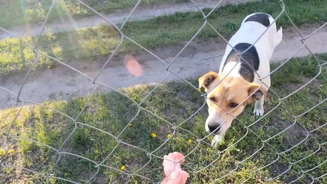 Доделал ворота и калитку 3 серия смотреть онлайн