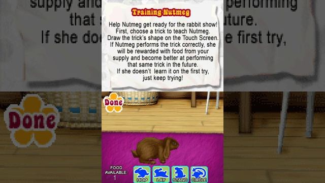 American Girl:  Julie Finds a Way [Nintendo DS]