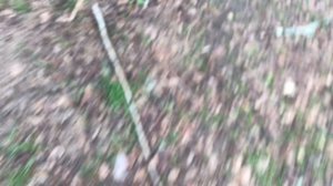 Не смотри это видео тут ничего интересного