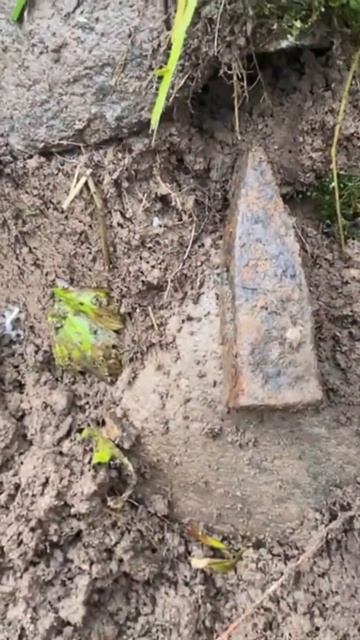 Находка ч.386🔥🔥 #леснойскобарь#2024 #коп#металлоискател смотреть онлайн