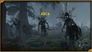 ASCA #15 элитная букашка