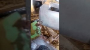 Бензопила не работает на горячую.