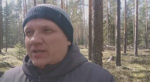 Стокгольмский синдром