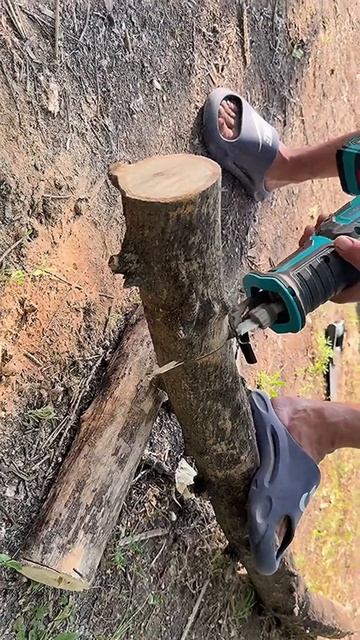 Аккумуляторная сабельная пила Richda RHD2251 смотреть онлайн