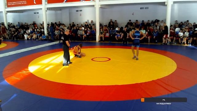 Краевые соревнования по вольной борьбе г.Ачинск Ковер смотреть онлайн