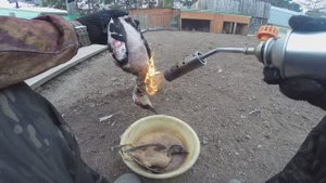 Как быстро и качественно опалить дикую утку.