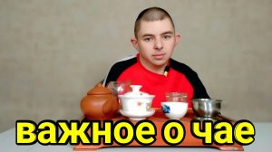 Когда увлекаетесь чаем, это важно знать и помнить