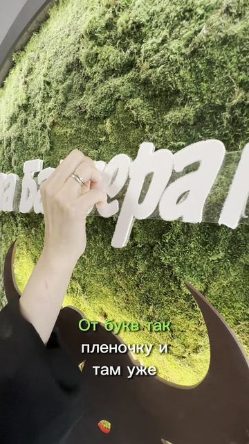 Панно из стабилизированного мха