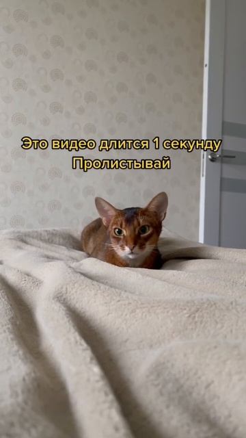 Хм смотреть онлайн