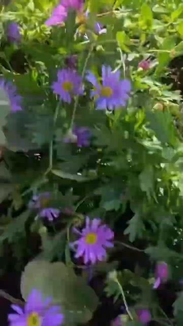 На ВДНХ если что вторая часть смотреть онлайн