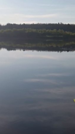 утро рыбалка