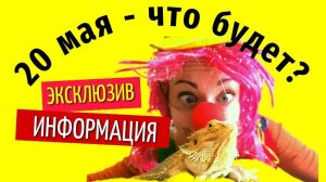 20 мая что будет