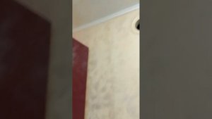 Декоративная штукатурка в кухне из обычной шпаклевки.