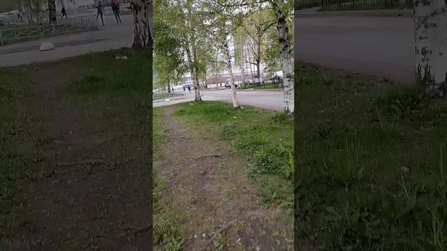 Шуршу по району под песню Ласковый май - Белые розы