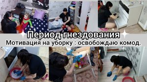 Период гнездования. Готовлюсь к рождению малышки.