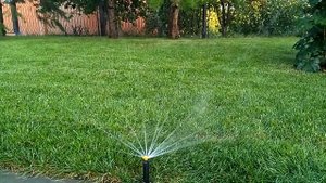 Вращающие форсунки  r van 1724 фирмы Rain Bird