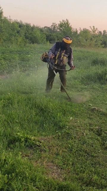 😋😋😋☺️☺️☺️ #grasscutter #farming #бензокоса смотреть онлайн