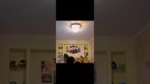 Каратэ//Джиу-джитсу//Броски #1