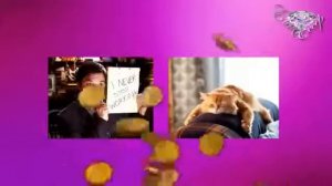 Первое знакомство со SBC