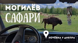 Могилёв на автодоме и сафари по железной дороге в Буйничах #vanlife WOOF TRAVEL