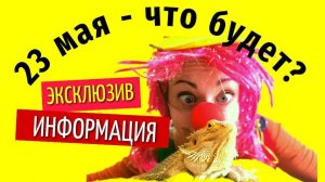 23 мая что будет
