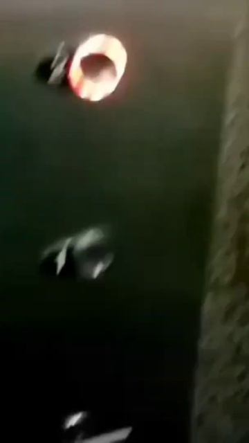 Скоростной, панорамный лифт OTIS 3200 2008 г. #shorts смотреть онлайн