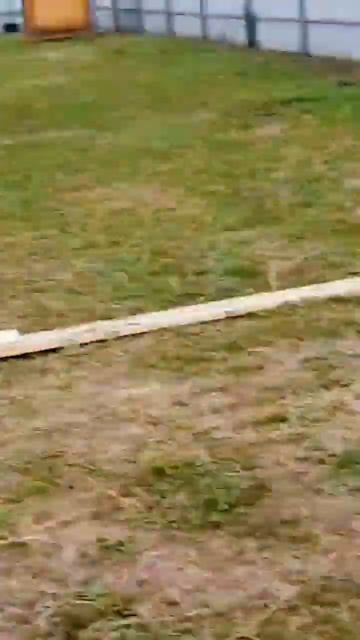 #домизбревна #строительство #срубдома #стройка #стройк смотреть онлайн