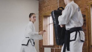 Уширо маваши гери в прыжке #sports