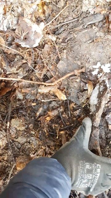 Древний боевой топорик? смотреть онлайн