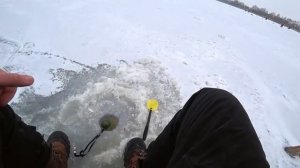 РЫБАЛКА В ГЛУШИ. ДИКИЙ РУЧЕЙ. Клёв такой что не успеваю опускать... но пришлось уехать _((