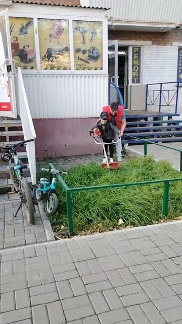 С 026 триммером справляется лучше, 052 тяжеловат для сына смотреть онлайн