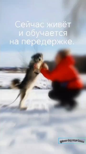 Когда есть друг, ты не один