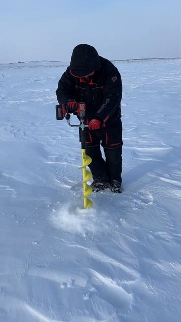 Milwaukee 2904 8а/h и тонар iceberg 160r срощенный, лёд 1.5м. #milwaukee #ры? смотреть онлайн