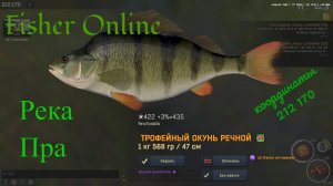Fisher Online Река пра еще одно место ловли линя