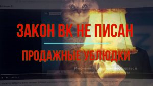 ВК закон не писан. Продажные ублюдки