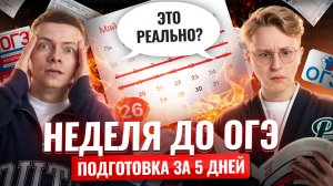 Как подготовиться к ОГЭ по информатике ЗА 5 ДНЕЙ | Предбанник Умскул