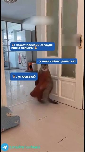 За мой счет... смотреть онлайн