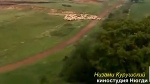 Новая песня. Группа Самур =Канивал=