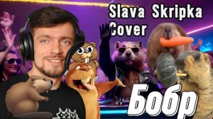 Бобр  (cover Slava Skripka ) | Песня про Бобра | Зимний сон.