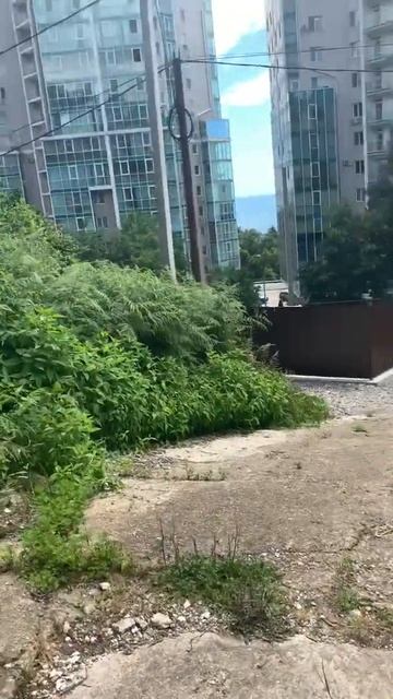 Земля 6,45 Дорога на Большой Ахун 14А смотреть онлайн