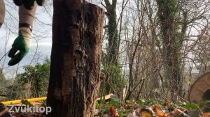 Звук колки дров, топора по дереву | Chopping wood sound effect