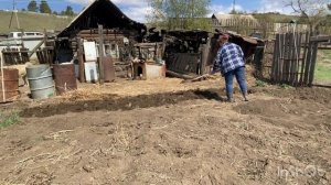 И под картошку копаю вручную