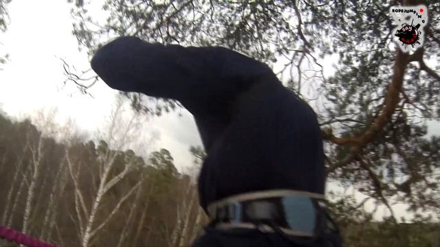 Say A A A! Дерево 12 апреля 2015  32