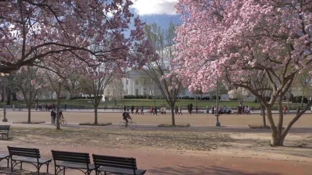 Муж с любовницей хотели купить самое дорогое свадебно смотреть онлайн