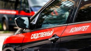 В Запорожской области нашли тело семилетней девочки