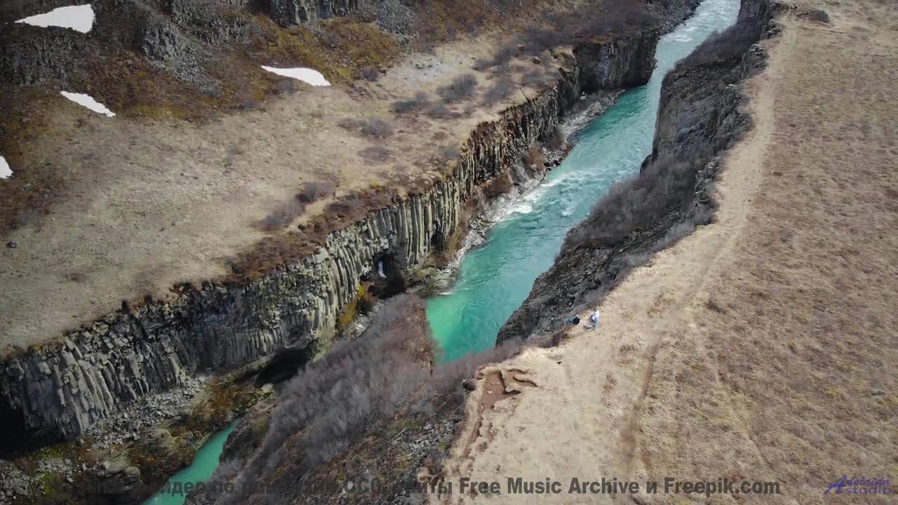 Лес превращается в сказку, стоит лишь включить звук - Won-t-Be-Stoppin -- Ketsa -- As Above So Below