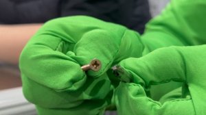 БИТЫ PH и PZ КАКАЯ РАЗНИЦА? Что выбрать?