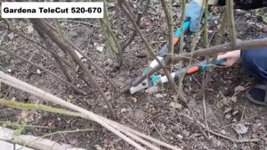 ТОП-8. Лучших садовых сучкорезов🌲Рейтинг 2024🏆Какой с?